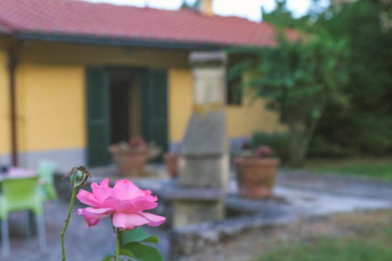 Casa Con Giardino In Mugello A 30 Minuti Da Firenze "Soleluna" Osteria di Novoli Екстер'єр фото